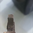애니카랜드유달점