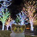 한대앞역 3번출구 육교 | 도쿄 롯폰기 일루미네이션 2025 정보 위치 후기