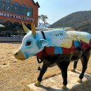 청화 노인회관 이미지