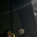 펫츠런 애견 이미지