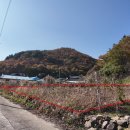 의곡초 일부분교 이미지