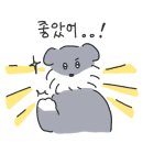 원:더풀 이미지