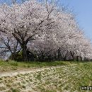 맥도생태공원 이미지