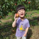 마야유치원 이미지