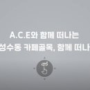 소소전파사 이미지