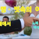 곡명 . 빗속의 여인 . 노래 신중현 - 장현 작사 .작곡 이미지