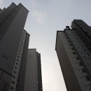 인텔리공인중개사사무소 이미지