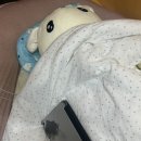 벚꽃의꽃말은 시험기간!^.^