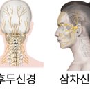 올곧은한의원 | 부산 동래 경추성 두통, 아무리 약을 먹고 치료를 받아도 여전하신가요?