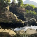 소백정원 이미지