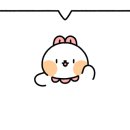 코알라수선