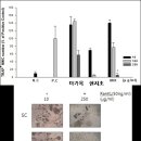모커리한방병원 이미지