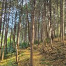 초당대학교 이미지