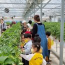 혜송유치원 이미지