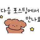 야옹아 멍멍해봐(신대점) 이미지