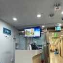 혜민온누리약국 | 8월 둘째주 일상 - 데스노트 세미막공 외