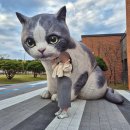 주해닭갈비 | 고도비만 마운자로 2.5mg 2주 후기 내돈내산 (-3kg 감량)