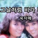 그날처럼 비가 내려요/숙자매 이미지