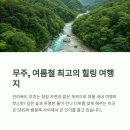 신대리야영장 | [공지] 무주계곡에서 물놀이 제대로 즐기는 꿀팁 대방출