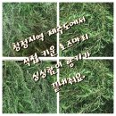 전주수제비누공방판 이미지