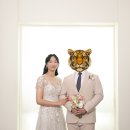 [W-8] 스텔라그라피 세미웨딩촬영 후기 / 스튜디오 세미 촬영 / 제이바이로이스타 / 토탈웨딩촬영 / 홈...