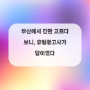 부산광고사