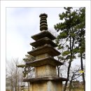 군산농장 Daum카페