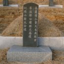 선세 이미지