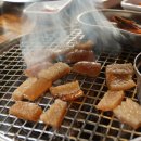 훔친뒷고기 이미지