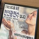 숲호텔 | 인제 자작나무숲 숙소 추천｜인제스피디움 호텔 내돈내산 후기 (조식·스파 무료 꿀팁)