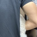 장수농장 | 천안사진관 불당동사진관 레드셔터 강아지 증명사진 후기