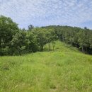 연초체육공원 이미지