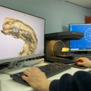 안면기공소 이미지