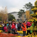 친구내외와 함께한 대구수목원 국화축제 - 2012.11.4. 이미지