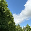 내면탐구 | #2. MD직무 탐구/ 신입 MD의 입사 초반 후기 및 꿀팁