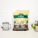 흙고운 주식회사 | 친환경 반려식물 분갈이흙 추천, 트리맘 가든집사분갈이흙