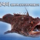 그리디힙히크