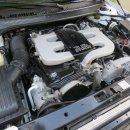 세기자동차 이미지