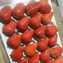 팜스쿡 | 요니팜스 요니팜스딸기 인생딸기 구매 후기🍓