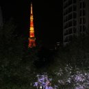 [일본 교환학생] 늦깍 교환후기 보고서 - 생활비, 통신, 교통, 카드 등 정보