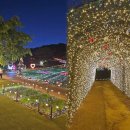 빛의 정원 - 20 이미지