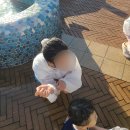 르노삼성자동차서비스코너 동광양점 | 👉 부산 기장 아이랑 여행코스 추천｜롯데월드 여름축제+오시리아 숙소 뉴시즈 후기