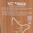 남산가는길(야경)코스 이미지