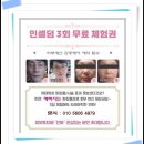 미사인셀덤