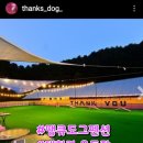 땡큐도그