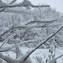 종암동 타이어 뱅크 야간영업, 연중무휴 타이어펑크 메꾸기