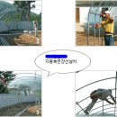 대고하우스