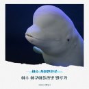 우림미디어 | 여수 가볼만한곳 아쿠아플라넷 주차 벨루가 아이랑 후기