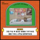 행복하개 반려동물 센터 이미지