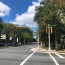 와사비 하우스(Wasabi House) 이미지